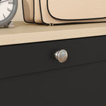 Slim Shoe Cabinet, 3 Flip Drawers Black