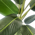 150cm Artificial Uv Traveller Banana Palm Tree