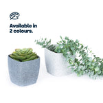 12cm Plant Pots Set Of 3 - White Sandstone