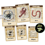 Kidzlabs - Creepy Crawly Digging Kit
