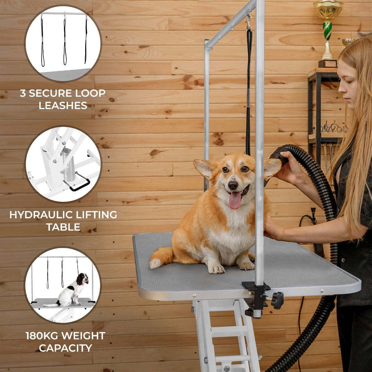 White Hydraulic Grooming Table | Grey