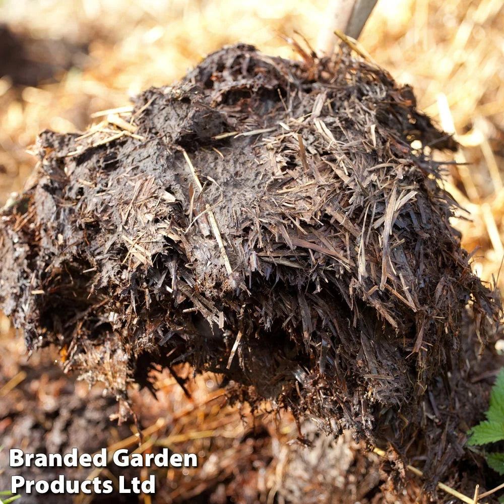 Strulch Garden Mulch (100 Litre) | Set-of-2