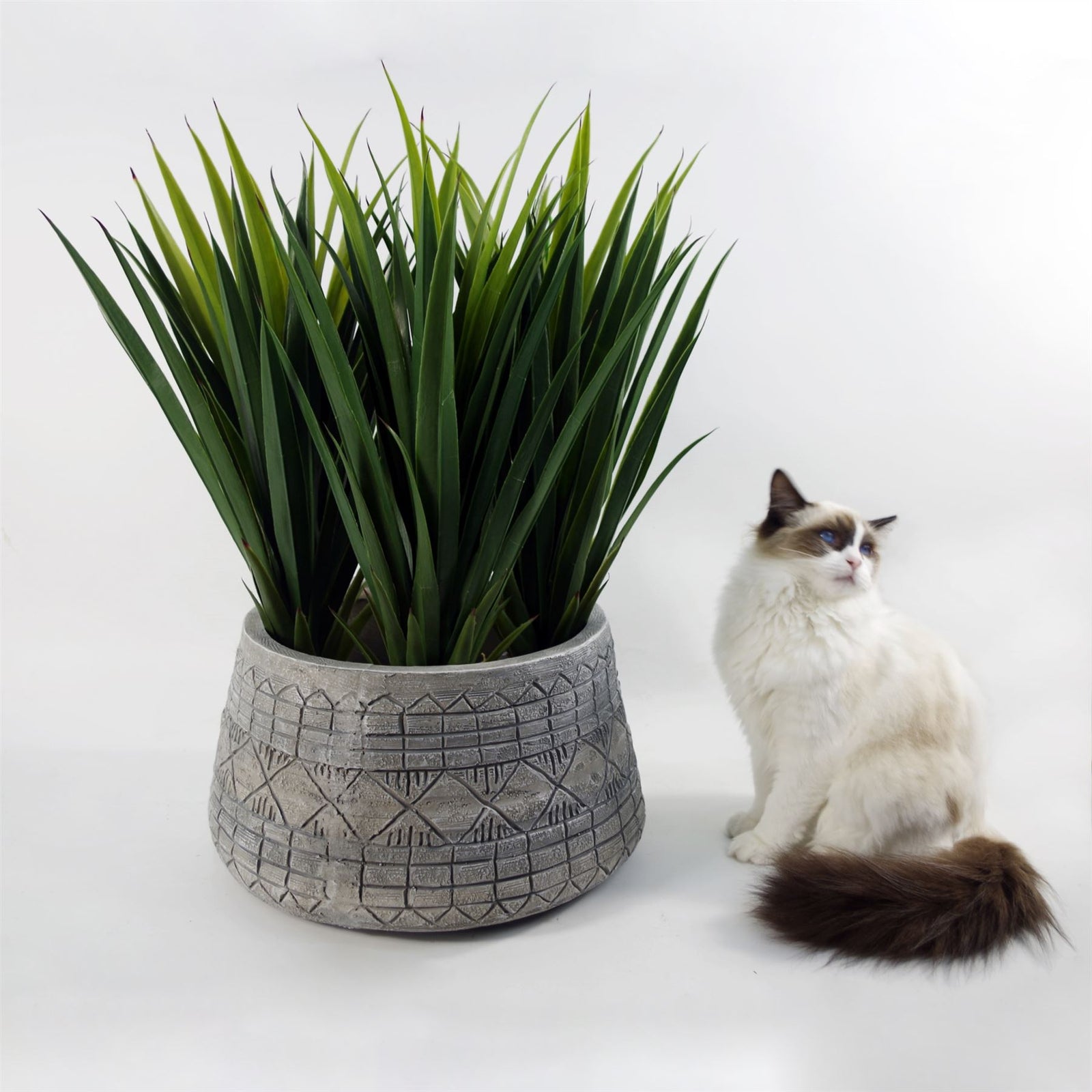 X 37cm Large Grey Gliese Embossed Planter 22cm
