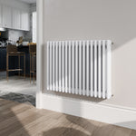 5036 Btu Horizontal 3 Column Radiator