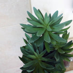 Artificial 60cm Tropical Yukka Palm Potted In Planter