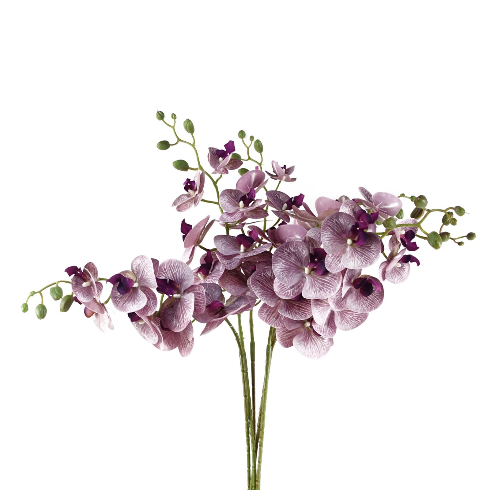 Pack Of 6 X 100cm Artificial Phalaenopsis Orchid Purple Stem - 42 Flowers