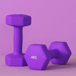 4kg Set Of 2 Dumbbells Hexagonal Weights Pair | Purple