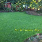 Grass Seed Bag | 500g