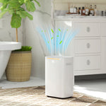 20l Per Day Dehumidifier For Home Damp With 24h Timer