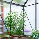 Polycarbonate Greenhouse, Small Greenhouse | Gray