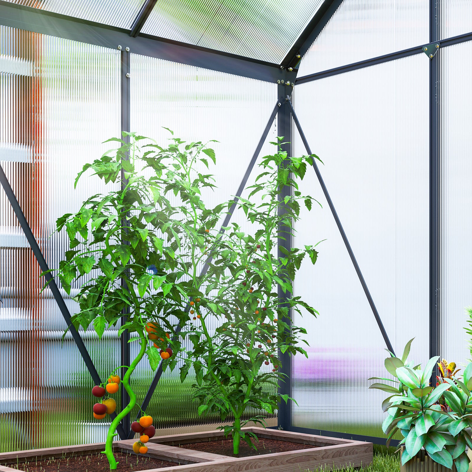 Polycarbonate Greenhouse, Small Greenhouse | Gray