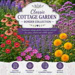 Classic Cottage Garden Border Collection - 2l Garden Ready Pots. | Set of 18 | Multi