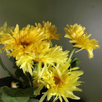 Artificial Potted Daisy  Plant Flowers Flowering Plant Yellow Botanik