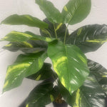 Artificial Foliage Plant Pot Devils Ivy 60cm Plants