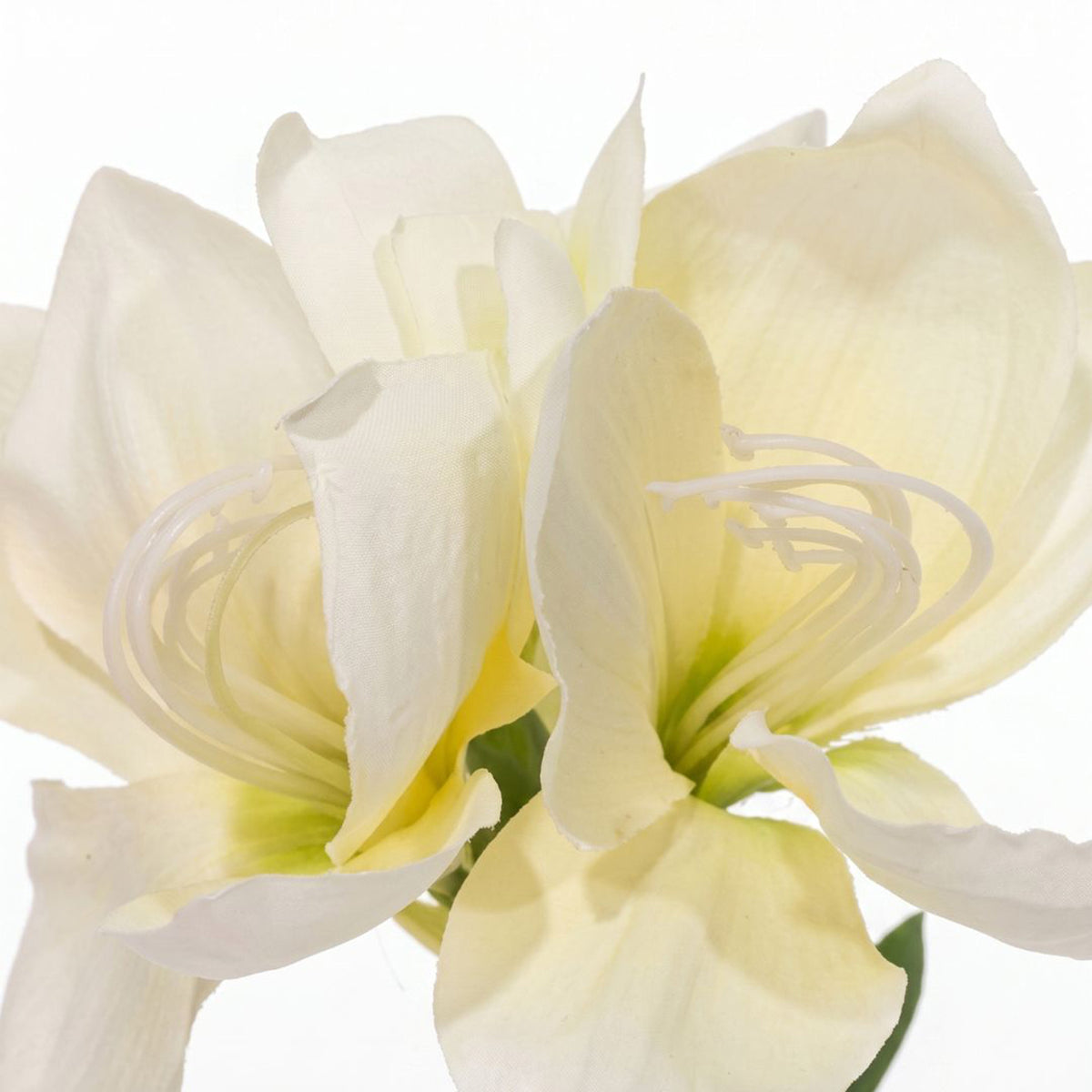 Faux Amaryllis In Pot, 36cm | Cream