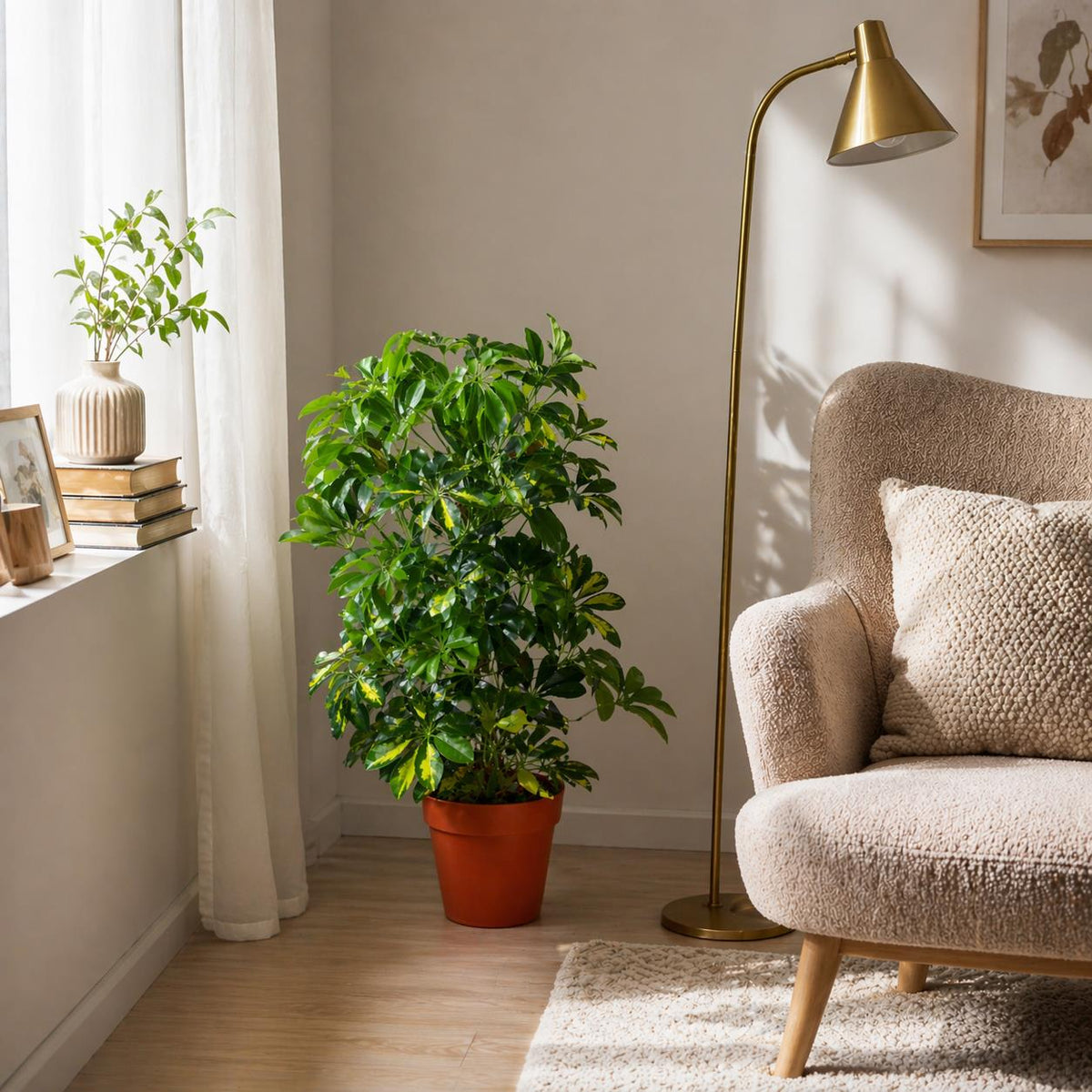 75cm Artificial Arboricola Gold Capella Plant