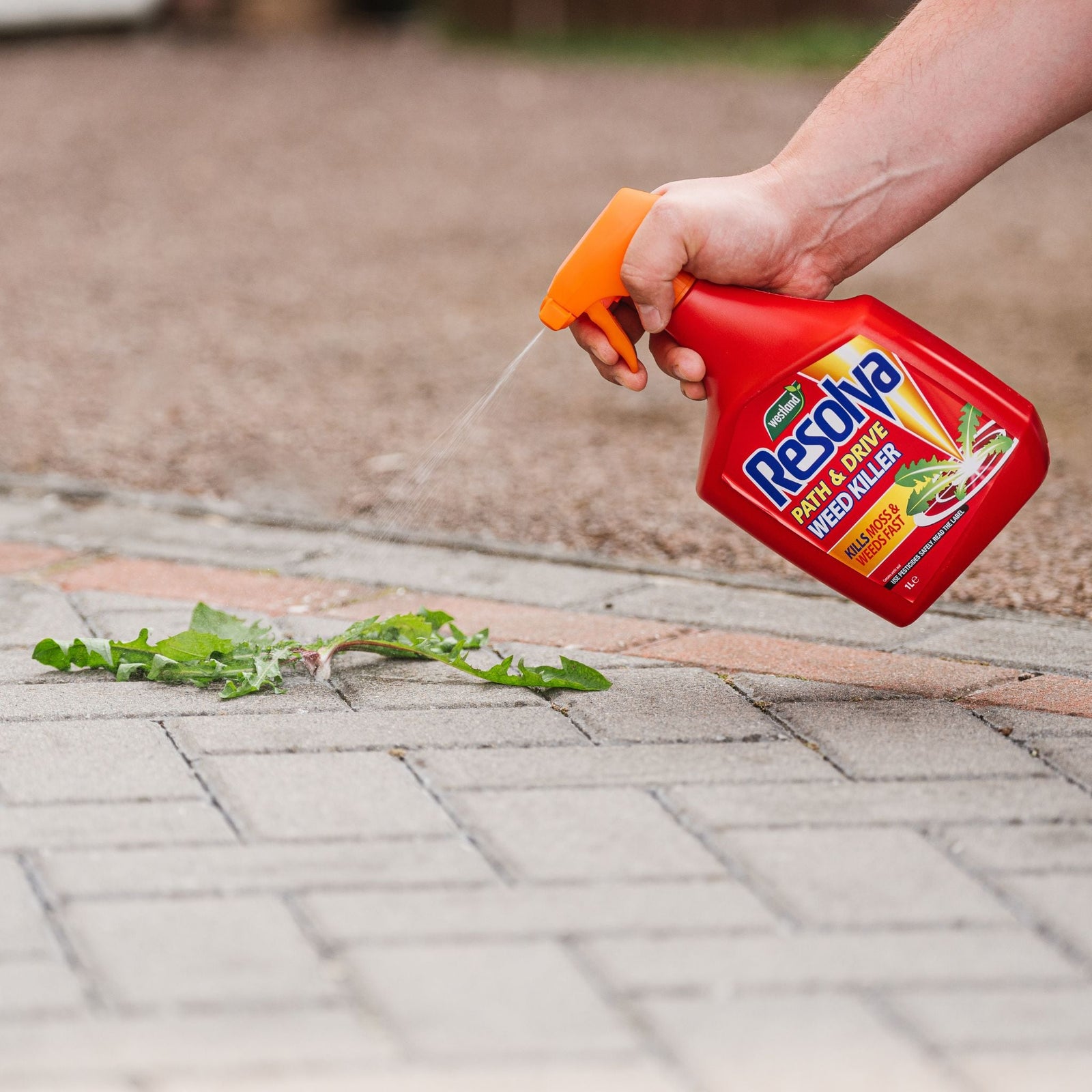 Path & Drive Weedkiller