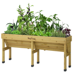 Medium Wall Hugger Self-watering Kit
