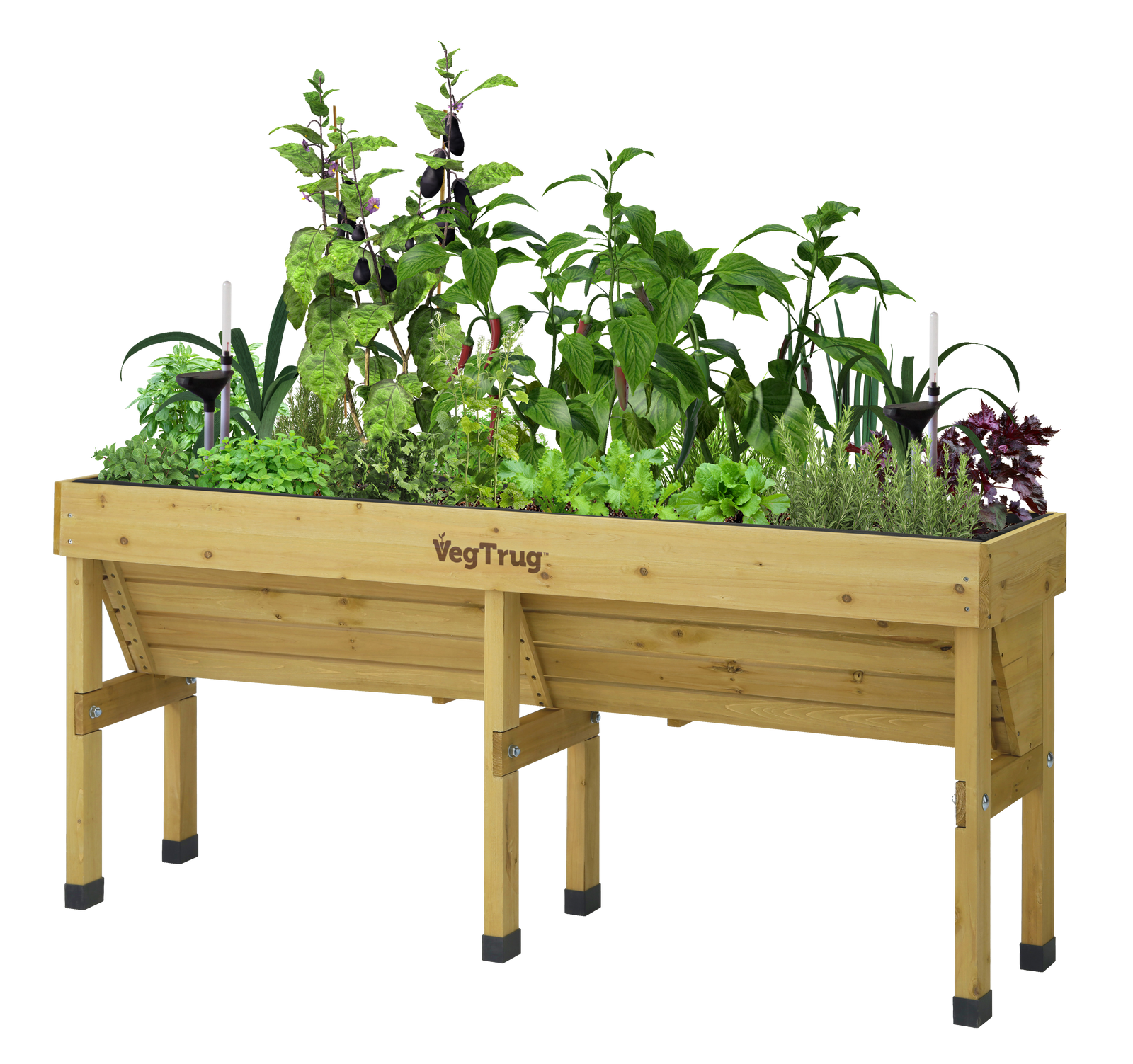 Medium Wall Hugger Self-watering Kit