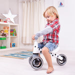 Diditrike, Early Stage Ride On Trike, Pedal Free - Zebra
