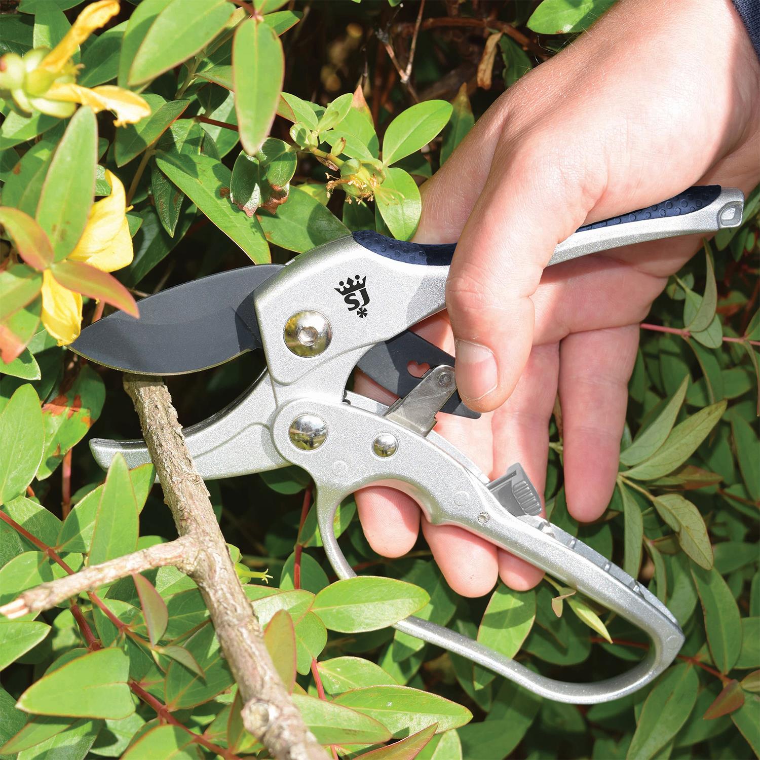 Anvil Secateurs, Compact Ratchet, Razorsharp Garden Tool