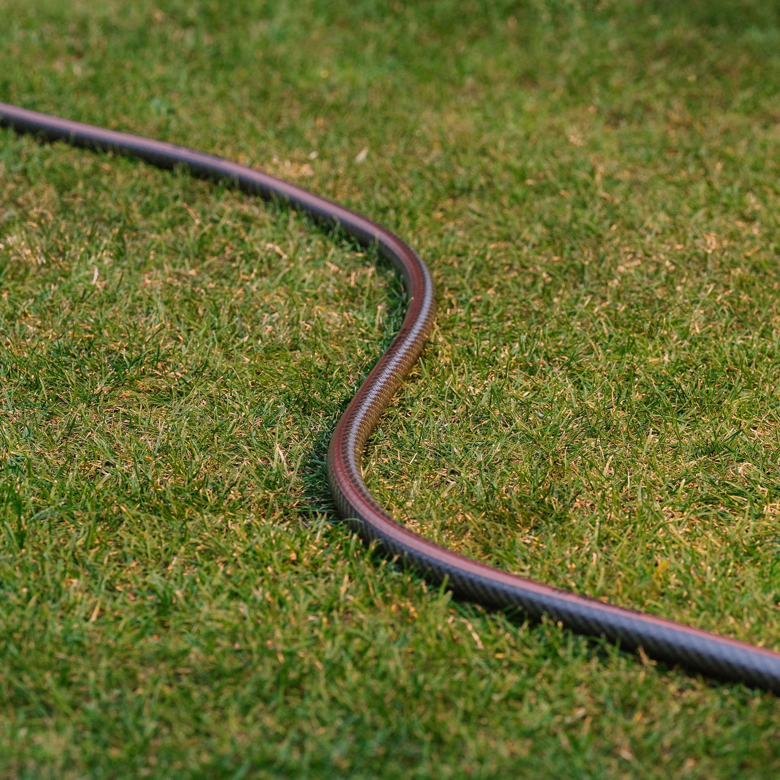 Extraordinary Hose | 30m