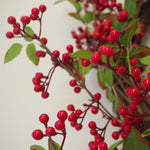 60cm (24 Inches) Large Luxury Christmas Natural Look Red Berry Floristry Wreath