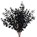6 X 80cm Black Eucalyptus Foliage Stem