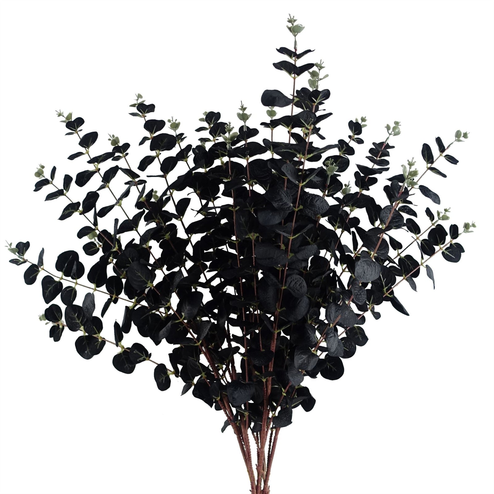 6 X 80cm Black Eucalyptus Foliage Stem