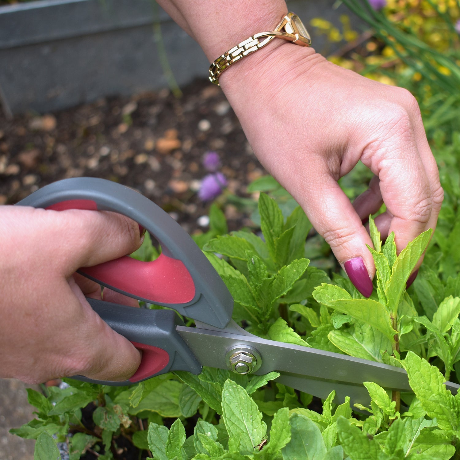 Garden Scissors, Stainless Steel, Ergonomic