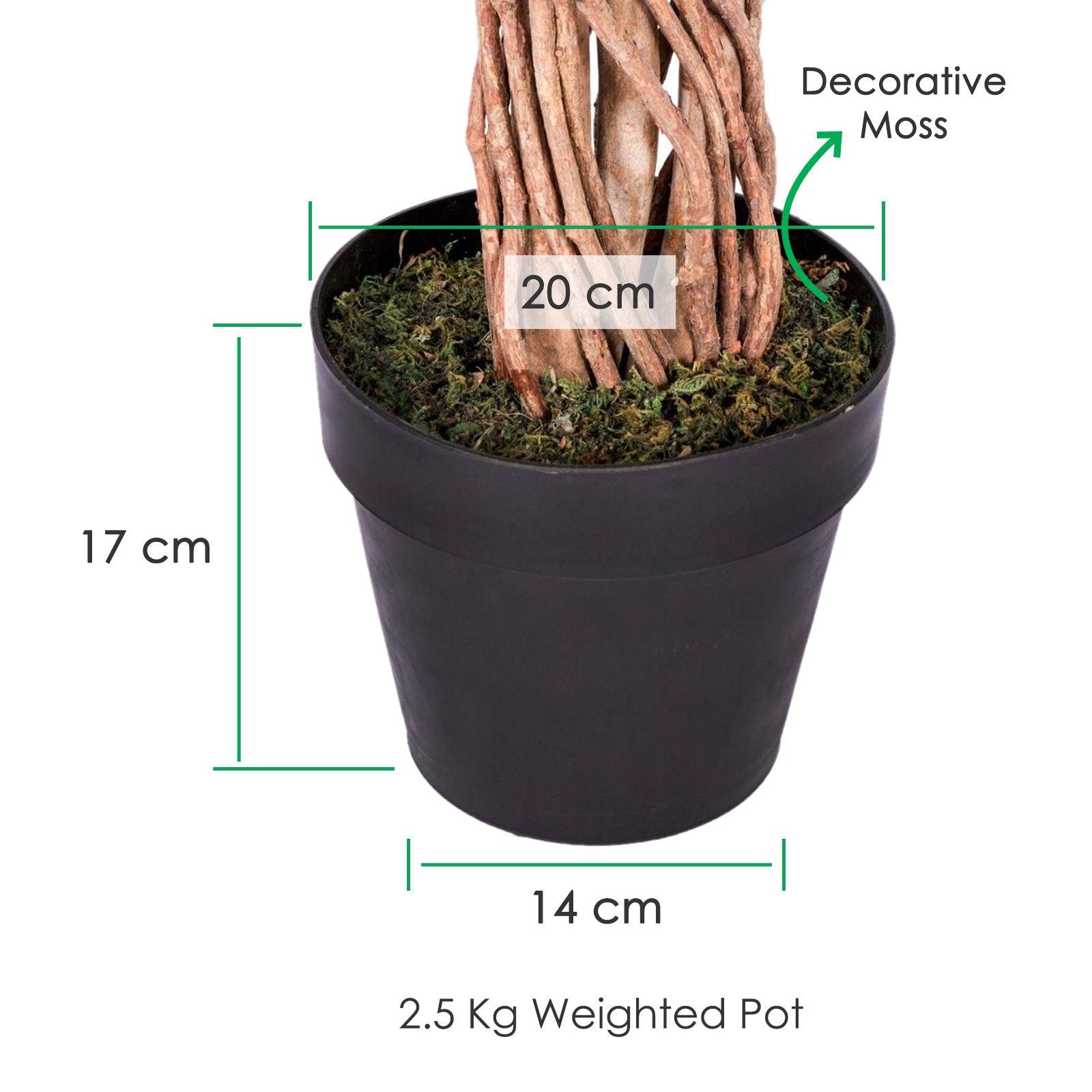 Artificial Handcrafted Ficus Tree With Real Wood Trunk | 6ft | Multi Colour
