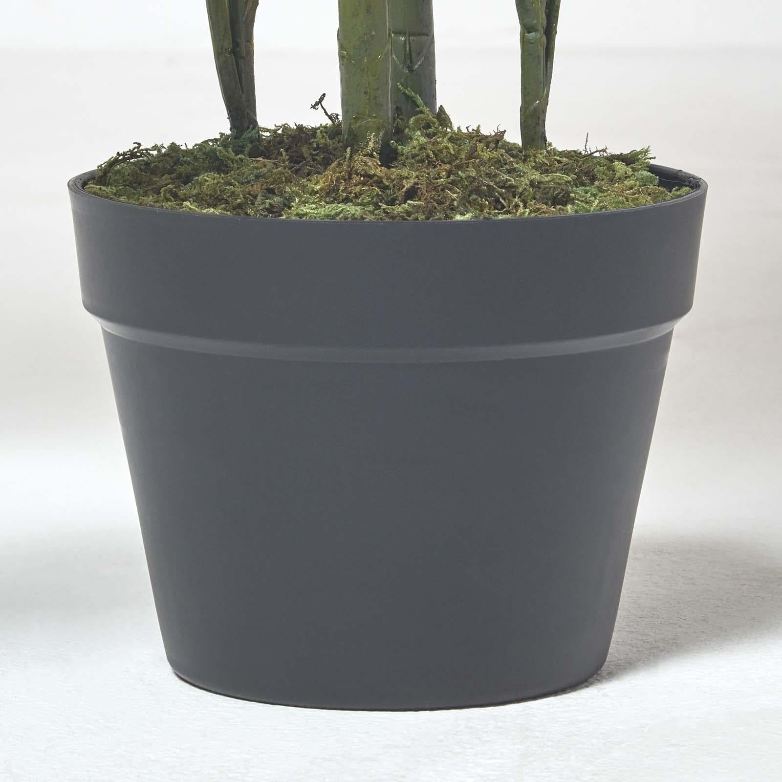 Multi Stem Green Palm Tree In Pot | 120cm | Green