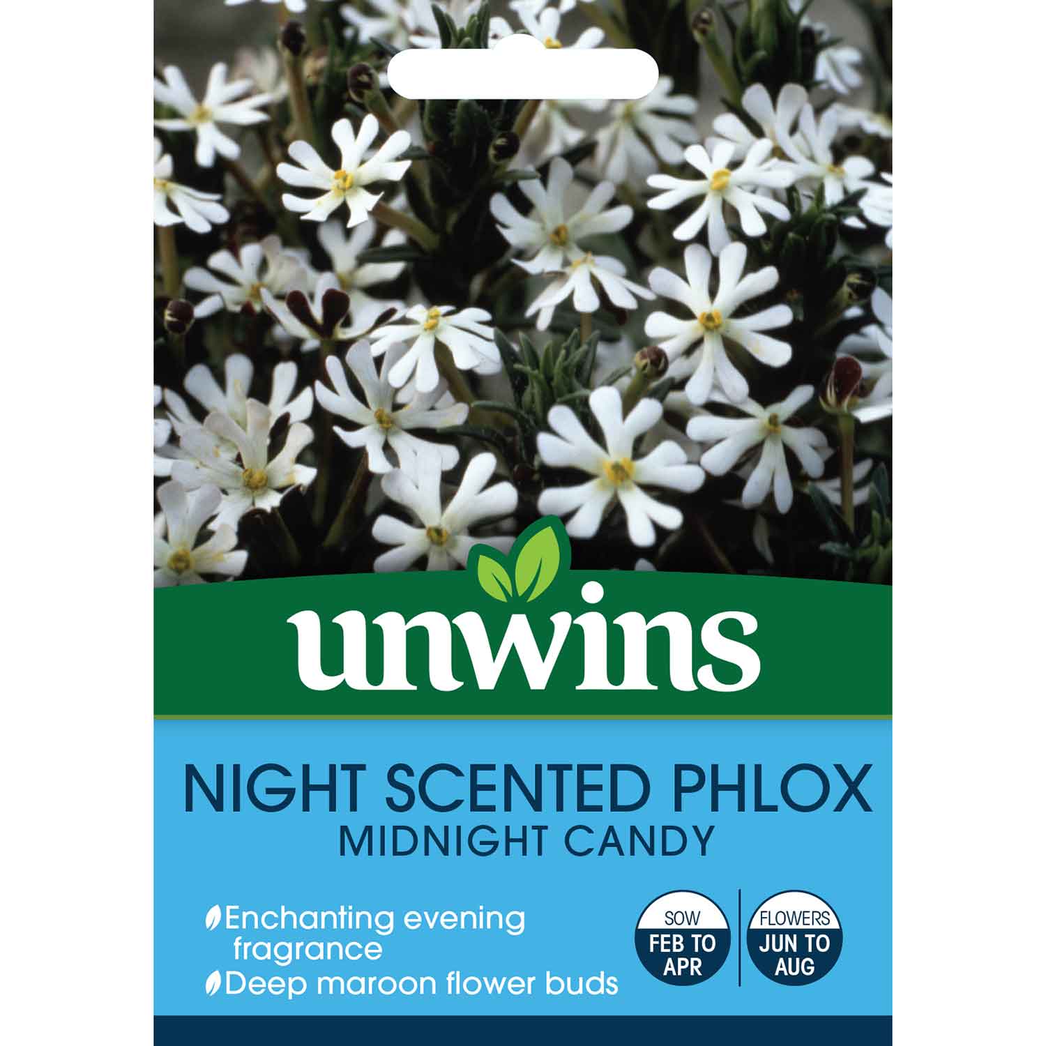 Phlox Midnight Candy Fragrant Annual For Pots & Borders Seeds | 225 Seeds