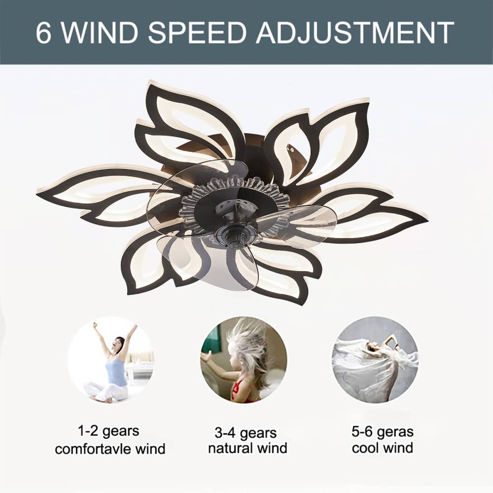 Pointed Petal Ceiling Fan Light 65cm Led With 3-color Dimming, Reversible Silent Dc Motor, 6-speed, Sleep Timer, 2.4g App & Remote Control | Black
