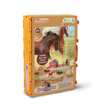 Horse Country Playset For Kids