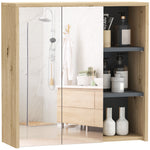 Bathroom Cabinet Wall Mounted Mirror Storage With Shelves