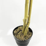 120cm (4ft) Artificial Dark Red Green Ficus Plant - Extra Large