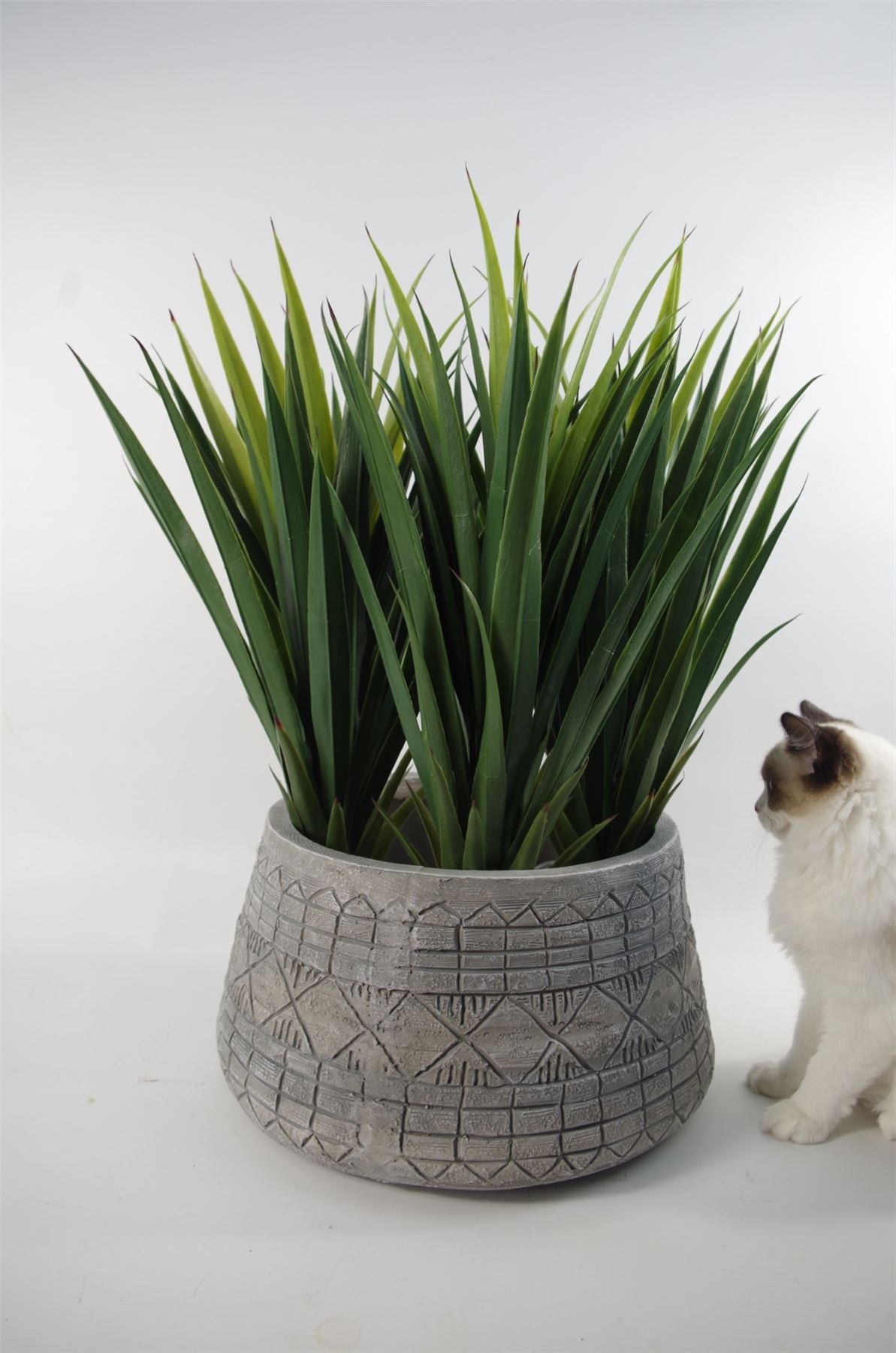 X 37cm Large Grey Gliese Embossed Planter 22cm