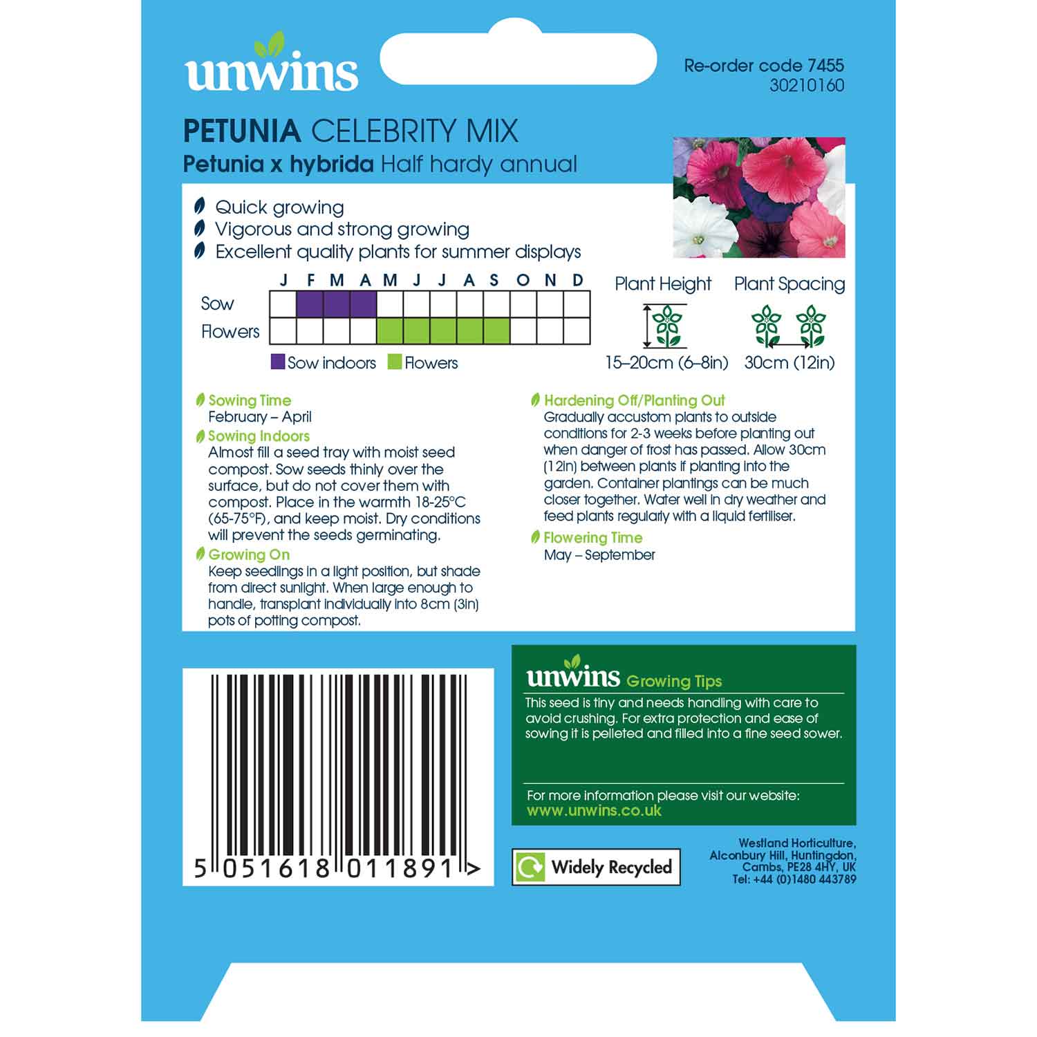 Petunia Celebrity Mix Seeds | 70 Seeds