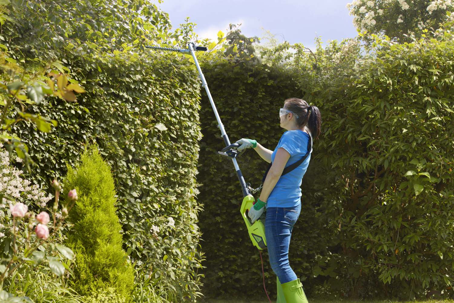900w Extendable Hedge Trimmer
