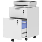 2 Drawer Filing Cabinet With Adjustable Hanging Bars For A4 And Letter | White