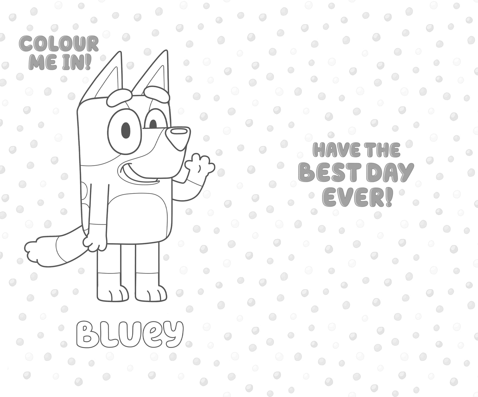 Birthday Fun!' Birthday Card Official Product