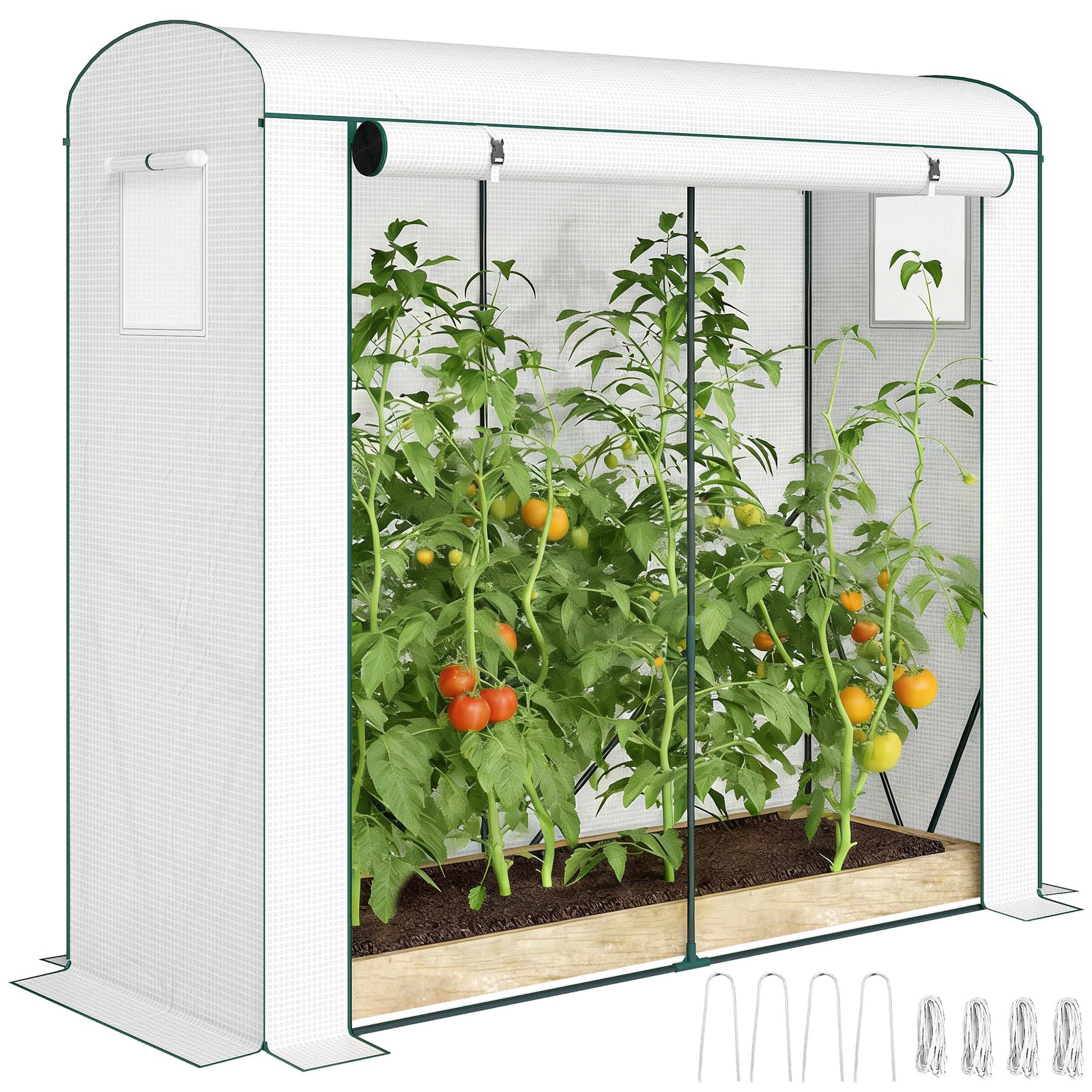 Mini Greenhouse, Portable Indoor Outdoor Green House With Pe Cover | White