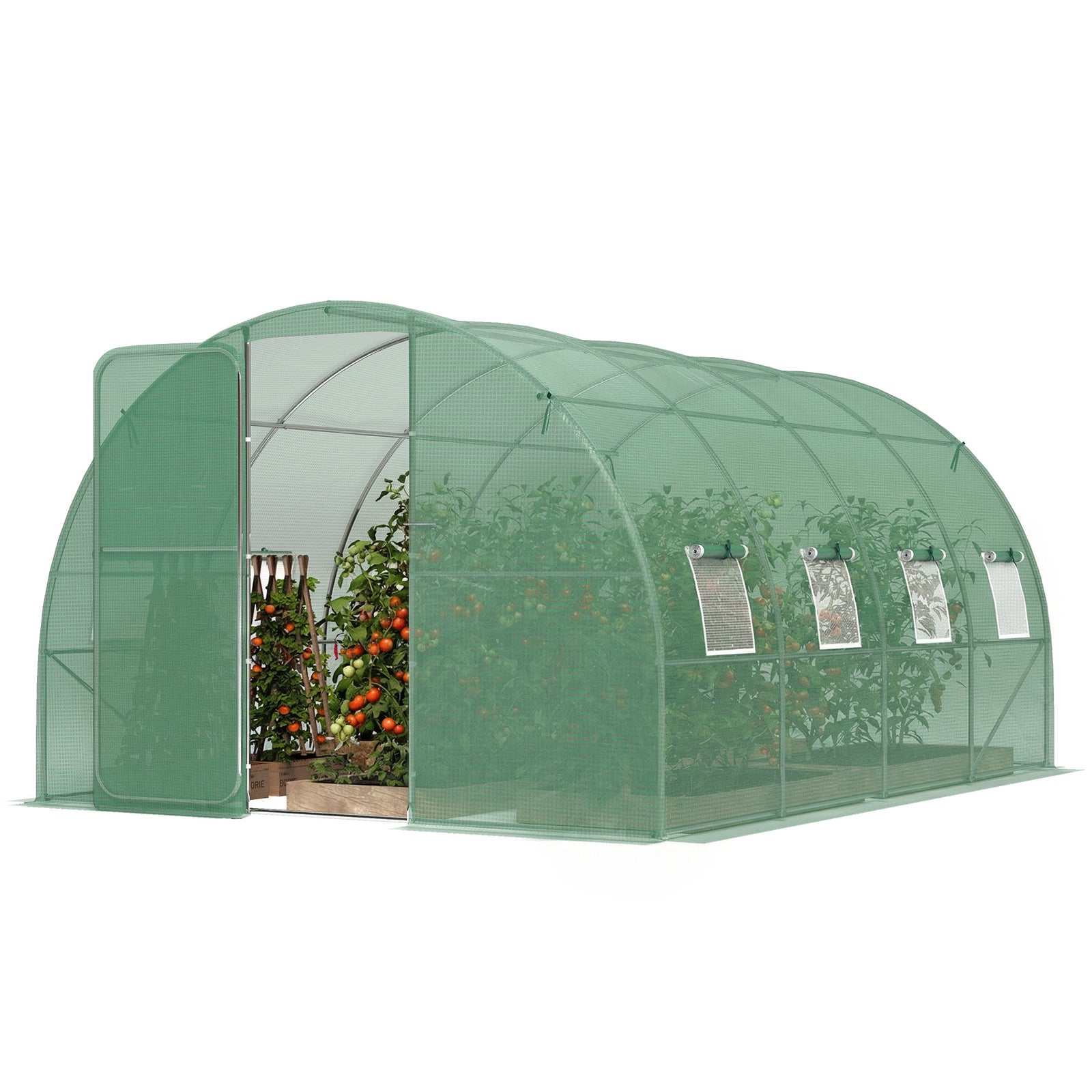 Walk-in Polytunnel Greenhouse With Windows, Garden Tunnel | L | Green