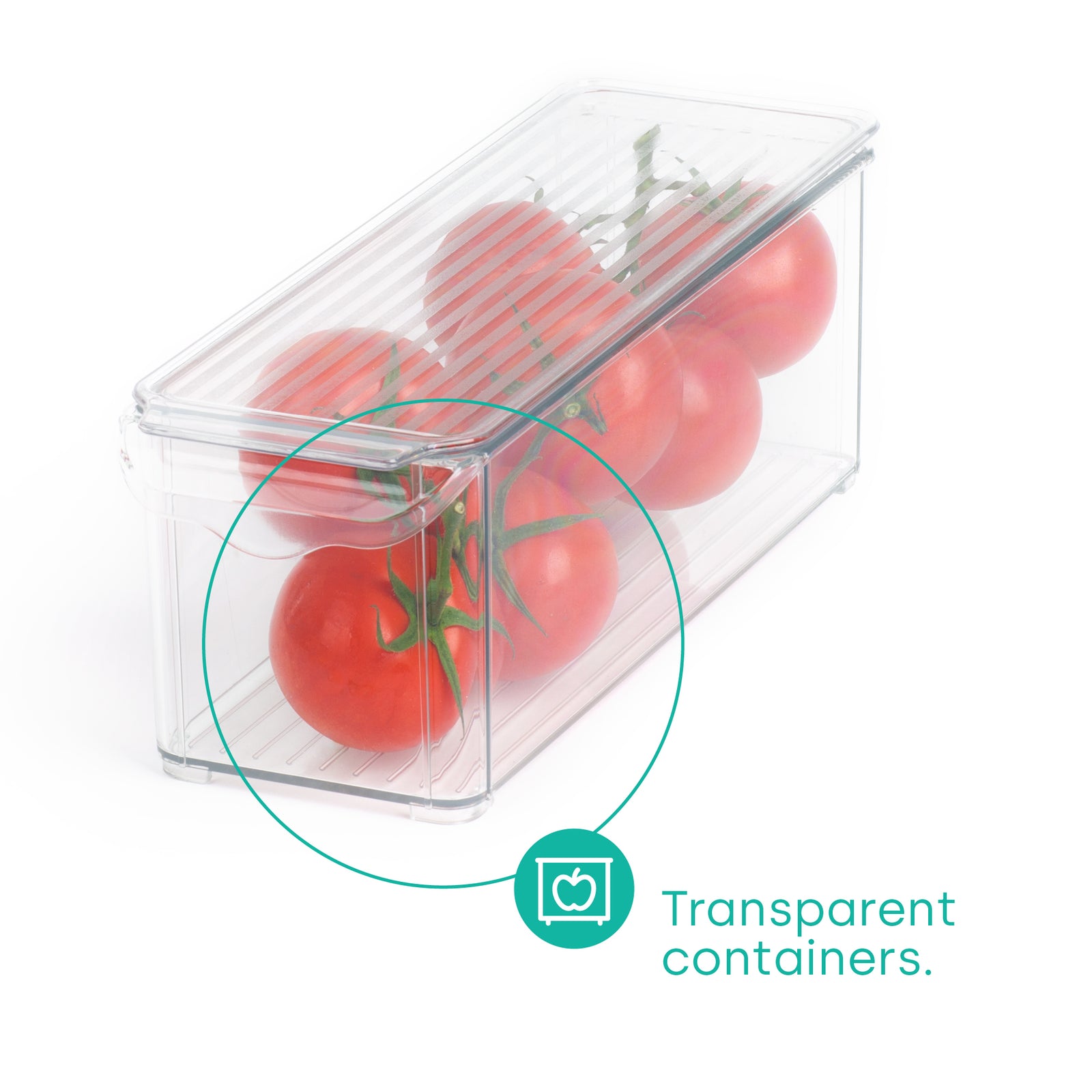 Fridge Storage Medium Containers Set Of 2