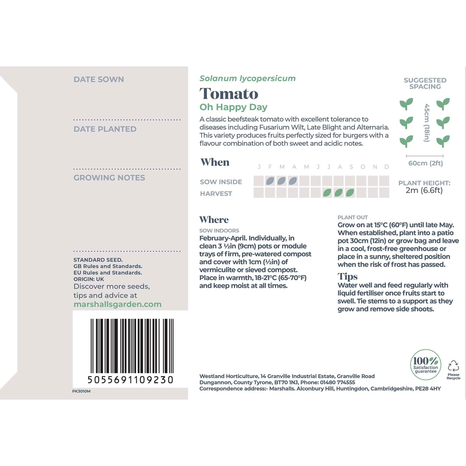 Tomato 'oh Happy Day' — Classic Beefsteak Seeds | 10 Seeds