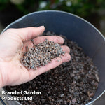 Thompson & Morgan Horticultural Potting Grit 1 x 20kg Bag
