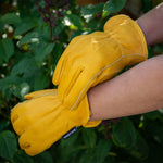 Luxury Leather Gardening Gloves, Fleece-lined & Elasticated Wrist | Large | Golden Ochre