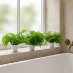 Pack Of 3 X 30cm Artificial Ferns Southern Wood Lady And Royal Potted