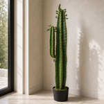 Artificial Cactus Cacti Plant Black Pot 110cm Plants